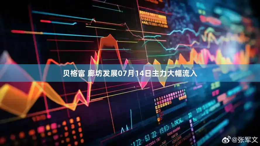 贝格富 廊坊发展07月14日主力大幅流入