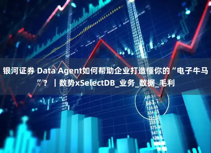 银河证券 Data Agent如何帮助企业打造懂你的“电子牛马”？｜数势xSelectDB_业务_数据_毛利