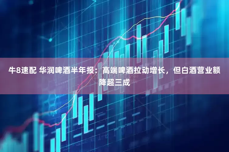 牛8速配 华润啤酒半年报：高端啤酒拉动增长，但白酒营业额降超三成