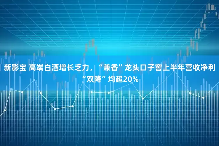 新影宝 高端白酒增长乏力，“兼香”龙头口子窖上半年营收净利“双降”均超20%