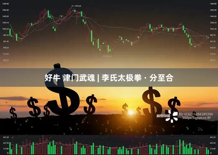 好牛 津门武魂 | 李氏太极拳 · 分至合